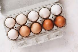 EGGS
